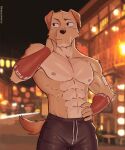  2023 abs anthro arm_tuft armwear athletic bandage biceps blurred_background bottomwear building canid canine canis choulmake clothed clothing detailed detailed_background domestic_dog facial_tuft floppy_ears fur hair hi_res light lighting lights looking_aside male mammal muscular muscular_anthro muscular_male nipples outside pecs serratus shorts solo tail tan_body tan_fur tan_hair topless tuft username vein watermark 