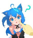  1girl ? absurdres ahoge animal_ear_fluff animal_ears bare_shoulders bikini black_jacket blue_bikini blue_eyes blue_hair botro breasts breasts_apart bright_pupils cheek_poking disembodied_limb feet_out_of_frame from_above halterneck highres jacket long_sleeves looking_at_viewer navel off_shoulder one_side_up open_clothes open_jacket original poking short_hair simple_background small_breasts solo string_bikini sweatdrop swimsuit white_background white_pupils 