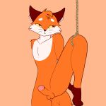  1:1 2023 anthro balls canid canine digital_drawing_(artwork) digital_media_(artwork) erection fox fur genitals girly hi_res male mammal nude pappy_(vkontakte) penis solo vkontakte 