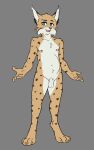  animal_genitalia anthro balls blue_eyes bob_(vixen_logic) bobcat brown_spots cheek_tuft chest_tuft colored digital_media_(artwork) ear_tuft facial_tuft fangs felid feline flat_colors foxboy83 full-length_portrait fur genitals hi_res lynx male mammal navel nipples nude open_mouth pink_nose portrait sheath simple_background solo spots spotted_body spotted_fur standing tan_body tan_fur teeth tuft white_body white_fur 