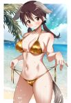  1girl animal_ears bikini blush breasts brown_eyes brown_hair collarbone cowboy_shot dog_ears dog_girl dog_tail gertrud_barkhorn gold_bikini groin hair_ribbon highres long_hair looking_at_viewer low_twintails momendoufu navel outdoors ribbon side-tie_bikini_bottom solo strike_witches sweat swimsuit tail twintails untied_bikini untying world_witches_series 