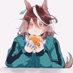  +_+ 1girl animal_ears blush brown_hair burger closed_mouth eating food food_on_face green_jacket hair_between_eyes highres horse_ears horse_girl horse_tail jacket long_hair long_sleeves looking_at_viewer mochiyu_(mochiko) multicolored_hair red_eyes simple_background solo streaked_hair symboli_rudolf_(umamusume) tail tsukimi_burger umamusume upper_body v-shaped_eyebrows white_background 