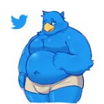  anthro avian beak belly binca_233 bird blue_body blue_eyes blue_feathers briefs clothing feathers hi_res male musclegut navel pecs simple_background solo twitter twitter_bird underwear white_background 