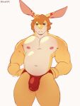  animated anthro balls bouncing_pecs bouncing_penis clothing fax_(faxmedarling) genitals hair hi_res lagomorph leporid long_ears male mammal muscular muscular_anthro muscular_male nipples orange_hair pecs penis rabbit red_clothing red_underwear simple_background smile smirk snaftfc solo spread_arms standing underwear undressing undressing_self yellow_body 