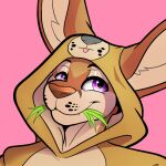  1:1 anthro clothing foxinuhhbox grass icon kangaroo macropod male mammal marsupial onesie plant quippy solo 