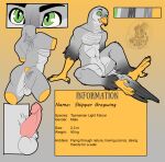  2023 3_fingers 4_toes absurd_res anthro avian back_tattoo balls beak bird black_claws black_eyebrows black_tipped_beak claws color_swatch digital_media_(artwork) english_text erection eye_shot eyebrows falcon falconid feathers feet fingers flat_colors genital_shot genitals green_eyes grey_body grey_feathers grey_markings hi_res long_feathers looking_at_viewer male markings model_sheet multicolored_body nude omez outline penis pupils simple_background sitting skipper_greywing slit_pupils solo tail tail_feathers talons tattoo text toes torso_shot tribal tribal_markings watermark yellow_beak yellow_feet yellow_hands 