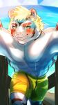  abs absurd_res anthro blonde_hair blue_body blue_fur blush bottomwear clothing fal_vanz felid fur green_eyes grin hair hi_res lifewonders live_a_hero male mammal muscular muscular_anthro muscular_male pantherine pecs rexer shorts smile solo striped_body striped_fur stripes swimwear tiger 