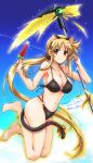  1girl animal_ears artist_name bardiche bikini black_bikini blonde_hair blush breasts cat_ears cat_tail cleavage closed_mouth dated fake_animal_ears fake_tail fate_testarossa food highres large_breasts long_hair looking_at_viewer lyrical_nanoha mahou_shoujo_lyrical_nanoha_strikers navel ponytail popsicle red_eyes san-pon signature sky smile solo swimsuit tail 