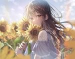  1girl absurdres blue_dress brown_eyes brown_hair day dress floating_hair flower highres holding holding_flower long_hair looking_at_viewer original outdoors sakura_(39ra) short_sleeves sky smile solo sunflower sunflower_field upper_body 