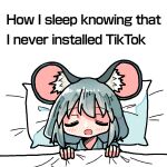  1girl animal_ears blanket blush closed_eyes covering_with_blanket dot_nose english_text grey_hair happy holding holding_blanket kasuya_baian medium_hair meme mouse_ears mouse_girl nap nazrin open_mouth pajamas pillow simple_background sleeping smile solo touhou white_background 