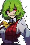  1girl ascot breasts green_hair grin hair_between_eyes half-closed_eyes highres iganashi1 kazami_yuuka large_breasts medium_hair parted_lips raised_eyebrow red_vest simple_background smile smug solo touhou upper_body vest white_background wing_collar yellow_ascot 