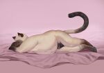  2019 anthro balls biped black_balls black_penis chubby-shark digital_media_(artwork) digital_painting_(artwork) digitigrade domestic_cat eyes_closed felid feline felis flaccid fur genitals jameel lying male mammal multi_nipple navel nipples nude on_side overweight overweight_anthro overweight_male penis prick_ears raised_tail siamese sleeping solo tail white_body white_fur 