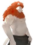  1boy animal_ears ass bara beard belly black_male_underwear bulge bulge_lift dressing facial_hair feet_out_of_frame from_side furry furry_male highres i&#039;ve_never_seen_a_guy_recreate_this_successfully_tbh_(meme) lion_boy lion_ears lion_tail long_hair male_focus male_underwear meme muscular muscular_male nipples noir. open_pants orange_hair original pants pants_lift pectorals plump smile solo stomach tail topless_male undersized_clothes underwear 