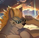  anthro biceps blonde_hair blue_body blue_eyes blue_fur bluealier canid canine canis cloud eyewear facial_tattoo fenrir_(housamo) fur hair lifewonders low_res male mammal muscular muscular_anthro muscular_male pecs shirtless shirtless_anthro shirtless_male solo sunglasses sunset tattoo tokyo_afterschool_summoners wolf 