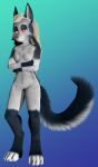  absurd_res anthro blender_(software) canid canid_demon canine claws demon female fluffy fluffy_tail fur genitals grey_body grey_fur hellhound helluva_boss hi_res loona_(helluva_boss) mammal nude paws pussy ryuukei8569 solo tail white_body white_fur 