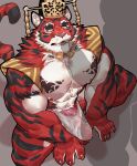  abs absurd_res anthro asian_clothing clothing crave_saga crown duo east_asian_clothing erection felid fundoshi fur genitals headgear hi_res istani japanese_clothing male male/male mammal muscular muscular_anthro muscular_male nipples pantherine pecs penis red_body red_fur striped_body striped_fur stripes tattoo tiger translucent translucent_body underwear wet wet_clothing yatanokagami 