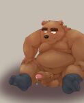  0ottotto0 2023 anthro balls bear belly big_belly black_nose blush bodily_fluids brown_body erection genital_fluids genitals hi_res kemono male mammal moobs nipples overweight overweight_male penis precum sitting solo 