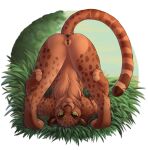  2023 absurd_res amabilia_(dark_wolf2018) anatomically_correct anatomically_correct_anus anatomically_correct_genitalia anatomically_correct_pussy animal_genitalia animal_print animal_pussy anus ass_up black_pussy butt cheetah cheetah_print detailed_background felid feline feline_genitalia feline_pussy female feral fur genitals grass green_eyes heart_(marking) hi_res looking_at_viewer mammal plant presenting presenting_hindquarters pussy quadruped red_body red_fur roughlady sky solo spots tree 