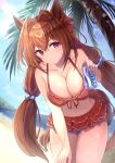  1girl absurdres animal_ears bikini breasts brown_hair can cowboy_shot daiwa_scarlet_(trifle_vacation)_(umamusume) daiwa_scarlet_(umamusume) frilled_bikini frills hair_intakes highres holding holding_can horse_ears horse_girl large_breasts long_hair looking_at_viewer official_alternate_costume pocari_sweat purple_eyes red_bikini solo summer swimsuit taguchi_yuu twintails umamusume umamusume_summer_story_(umamusume) very_long_hair 