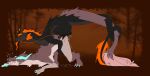  dragon female feral fur furred_dragon furred_reptilian hi_res male male/female verena verinity_v 