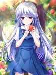  1girl apple apple_tree black_bow blue_dress blue_hair blurry blush bow closed_mouth collared_shirt commentary_request cowboy_shot dappled_sunlight day depth_of_field dress eyelashes food forest fruit grisaia_(series) grisaia_no_kajitsu hair_between_eyes hands_up highres holding holding_food holding_fruit index_finger_raised kazami_kazuki light_blue_hair long_hair looking_at_viewer nature outdoors red_eyes scenery school_uniform shirt short_sleeves sidelocks sleeveless sleeveless_dress smile solo standing straight-on straight_hair sunlight tree very_long_hair white_shirt xiexianglg 