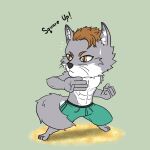  2023 abs anthro athletic athletic_male barefoot bodily_fluids brown_hair canid canine chibi clothed clothing colored corsac_fox digital_media_(artwork) english_text feet fighting_pose fist fluffy fluffy_tail fox fur grey_body grey_fur hair hi_res inner_ear_fluff looking_aside male mammal mnesis pecs pose sand simple_background solo standing super-nova swaggy_tamago sweat sweatdrop swimming_trunks swimwear tail text topless topless_male tuft 