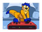  anthro blue_hair controller cosmicwuffy eyewear focusing game_controller gaming glasses hair herpestid male mammal meerkat micro nintendo nintendo_controller nintendo_switch paws solo tigerthemeerkat 