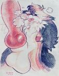  2023 animal_genitalia animal_penis anthro arms_tied artist_name balls big_balls big_penis big_sheath birdpaw_(artist) black_body black_fur bound breath canid canine canine_genitalia canine_penis colored_pencil_(artwork) eden_(pklucario) erection fangs fox fur genitals hands_behind_back hi_res huge_balls huge_penis huge_sheath hyper hyper_balls hyper_genitalia hyper_penis hyper_sheath inner_ear_fluff knot male mammal multicolored_body multicolored_fur neck_tuft orange_body orange_fur penis pink_inner_ear purple_body purple_fur red_body red_fur red_nose red_penis red_rope red_tongue rope sheath solo submissive submissive_anthro submissive_male tail tail_tuft tan_body tan_fur teeth tongue traditional_media_(artwork) tuft white_inner_ear_fluff 