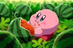  :i aruco_co blue_eyes blurry blurry_background blush blush_stickers closed_mouth commentary eating food food_on_face fruit full_body kirby kirby_(series) leaf no_humans plant symbol-only_commentary vines watermelon 