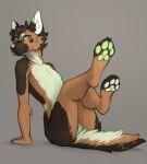  2023 4_toes anthro black_body black_fur brown_body brown_fur canid canine cheek_tuft digital_media_(artwork) facial_tuft feet fur green_body green_fur green_pawpads grey_background head_tuft hi_res looking_at_viewer male mammal nude pawpads simple_background sitting solo toes tuft yshanii 