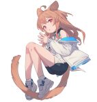  1girl ahoge animal_ears bike_shorts black_shorts brown_hair cat_ears cat_girl cat_tail jacket knees_up legs long_hair off_shoulder original own_hands_together peroncho red_eyes shirt shoes shorts sleeveless sleeveless_shirt solo tail thighs white_footwear white_jacket white_shirt 