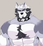  2023 abs anthro beard biceps black_hair canid canine canis chest_tuft collar deltoids facial_hair fur hair hi_res juggerpepper male mammal multicolored_body multicolored_fur muscular muscular_anthro muscular_male pecs purple_body purple_fur purple_hair simple_background solo spiked_collar spikes tuft two_tone_body two_tone_fur white_eyes white_hair wolf zeke_(pkdreem) 