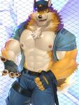  abs anthro barrel_(live_a_hero) canid canine canis clothed clothing fingerless_gloves gloves handwear lifewonders live_a_hero male mammal muscular muscular_anthro muscular_male navel nipples open_clothing open_shirt open_topwear pecs police_hat police_officer police_uniform salz_sop shirt solo topwear uniform wolf 