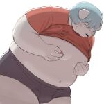  2023 anthro belly big_belly bina_(sv_grart) black_nose blue_hair blush bulge canid canine canis clothing domestic_dog hair humanoid_hands kemono male mammal moobs nipples overweight overweight_male simple_background solo sv_grart underwear white_background 
