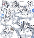  1boy 1girl ? abs absurdres animal_ears arknights arms_behind_back bara bare_pectorals blue_flower blue_heart character_request collage cropped_torso english_text expressions flower furry furry_male graysheartart hand_on_own_chin highres index_finger_raised large_pectorals laughing lying male_focus mature_male mountain_(arknights) mountain_(book_reader)_(arknights) muscular muscular_male nervous_smile nipples on_back partially_unbuttoned pectoral_cleavage pectorals pointing pointing_at_self ponytail scar scar_across_eye scar_on_arm sleepy smile sparkle stomach stroking_own_chin suit tiger_boy tiger_ears white_fur white_hair white_suit yawning 