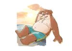  2023 absurd_res anthro beach belly bottomwear brown_body canid canine canis clothing cloud domestic_dog fatkylefat hi_res kemono male mammal outside overweight overweight_male seaside shorts sitting solo sun swimwear 