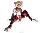  anthro canid canine fan_character hi_res intersex intersex/male male mammal mixidraw solo tagme 