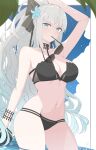  1girl bare_shoulders bikini blue_eyes breasts cleavage collarbone fate/grand_order fate_(series) fumato grey_hair highres large_breasts long_hair looking_at_viewer morgan_le_fay_(fate) navel ponytail sidelocks solo swimsuit thighs very_long_hair 