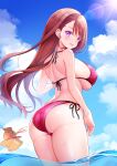  1boy 1girl ass bikini blood blue_sky blush breasts brown_hair cloud highres hijiri_ageha hirogaru_sky!_precure i-nn large_breasts long_hair looking_at_viewer looking_back nosebleed open_mouth precure purple_eyes red_bikini side-tie_bikini_bottom sideboob sky smile swimsuit wading water yuunagi_tsubasa 