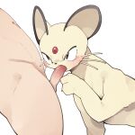  absurd_res blush brown_eyes duo felid feline feral generation_1_pokemon genitals hi_res human interspecies male mammal nintendo penis persian_(pokemon) pokemon pokemon_(species) pokephilia simple_background white_background yellow_body youjomodoki 