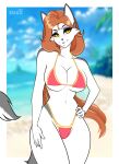  anthro beach big_breasts breasts canid canine clothed clothing digital_media_(artwork) female fox fur hair hi_res legwear looking_at_viewer mammal pinup pose red_hair sea seaside simple_background slim smile solo summer swimwear thick_thighs thigh_highs vivi water wide_hips zhadart 