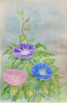  blue_flower flower highres miyuchan777 no_humans original painting_(medium) pink_flower plant purple_flower realistic traditional_media vines virtual_youtuber watercolor_(medium) 