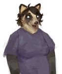  2022 anthro brown_body brown_fur brown_hair canid canine cettus clothing female fur hair happy mammal purple_clothing purple_shirt purple_topwear raccoon_dog shirt simple_background smile solo tan_body tan_fur tanuki topwear white_background 