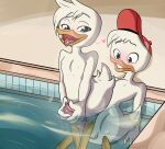  &lt;3 absurd_res anatid anseriform avian bird blush brother brothers disney duck ducktales ducktales_(2017) duo genitals heterochromia hi_res huey_duck incest_(lore) limettin louie_duck male male/male penis sibling sleepingwithpirates swimming_pool 