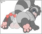  anal anal_beads anus balls butt canid canine genitals hi_res kalen_(xenoyia) kemono looking_back male mammal pawpads paws presenting presenting_hindquarters procyonid raccoon raccoon_dog rear_view sex_toy tanuki xenoyia_(artist) 