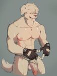  2023 abs absurd_res anthro balls bangs beastars big_balls big_penis canid canine canis clothed clothing collot_(beastars) domestic_dog erection fingerless_gloves fur genitals gesture gloves grey_background hair handwear herding_dog hi_res humanoid_genitalia humanoid_penis leborkss male mammal muscular muscular_anthro muscular_male nipples old_english_sheepdog open_mouth open_smile pastoral_dog pecs penis poking_out sheepdog simple_background smile solo standing teeth tongue topless topless_anthro topless_male tuft underwear underwear_only 