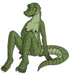  alligator alligatorid breasts crocodilian female genitals green_body green_skin pussy reptile scalie tabbiewolf yellow_eyes 