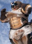  2023 abs absurd_res anthro balls bandage_on_nipple black_body black_fur bodily_fluids bogexboog brown_body brown_fur canid canine canis clothing cloud covered_nipples domestic_dog eyewear fur genitals gloves_(marking) haki_(bogexboog) hand_on_sunglasses hi_res low-angle_view male mammal markings multicolored_body multicolored_fur musclegut muscular muscular_anthro muscular_male muscular_thighs navel nipples obliques open_mouth orange_body orange_fur pecs penis sky solo sunglasses sweat sweaty_clothing sweaty_shirt sweaty_shorts tongue tongue_out whiskers white_body white_fur 