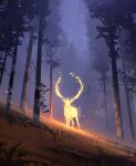  absurdres antlers commentary deer english_commentary fire fire_elemental glowing grass highres jocelin_carmes night no_humans original outdoors scenery signature sparks 