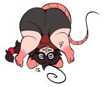  anthro big_butt bottomwear buckteeth butt clothing digitalpelican dizzy female mammal mouse murid murine rodent shorts solo tail teeth tina_(digitalpelican) upside_down 